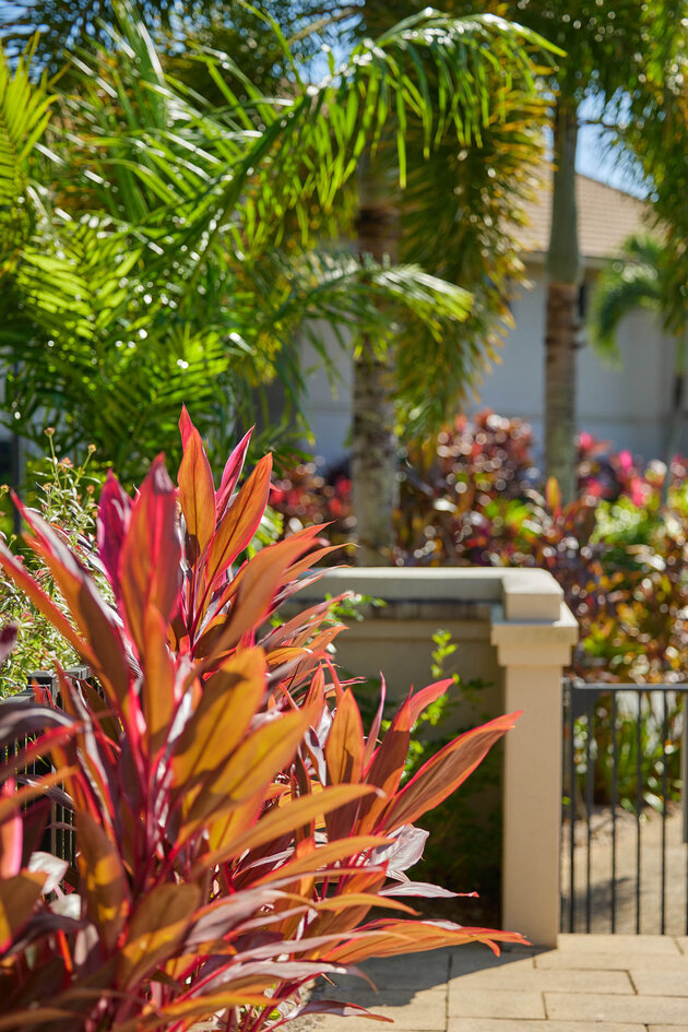 Tropical plants at rental investment property managed by NQ Rentals