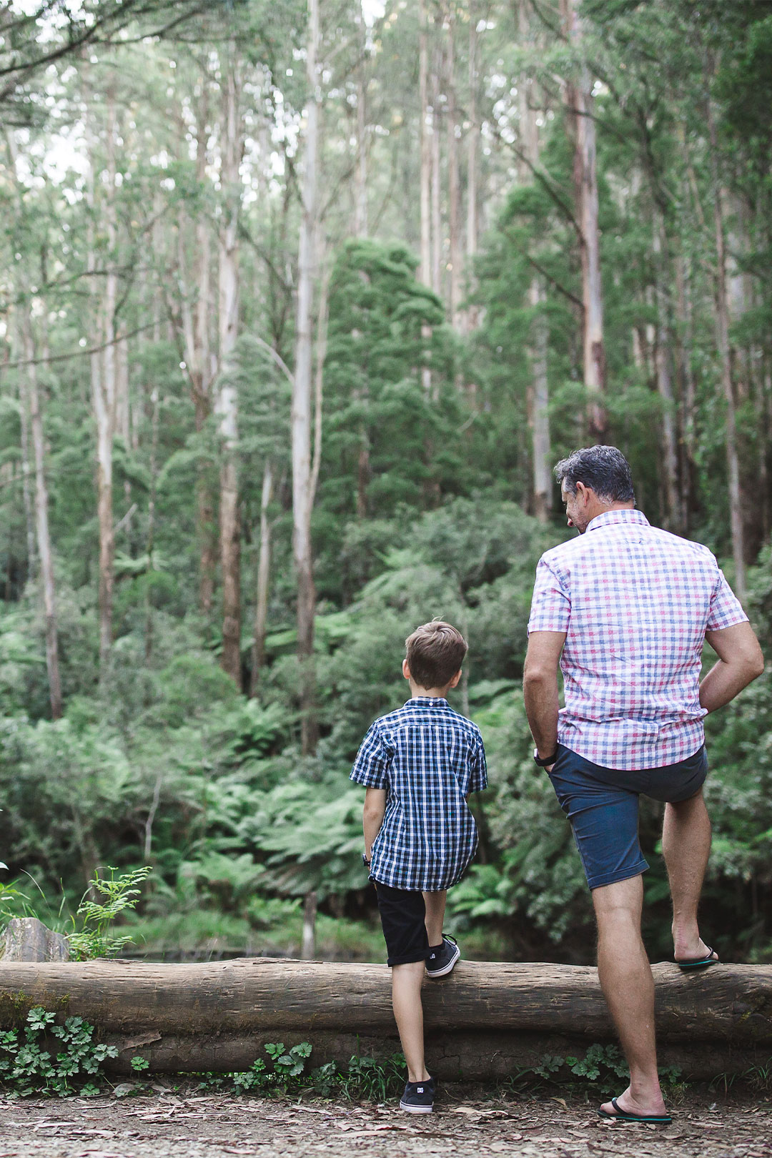 Greg Erwin and one of his sons admiring the tropical bush on a casual walk