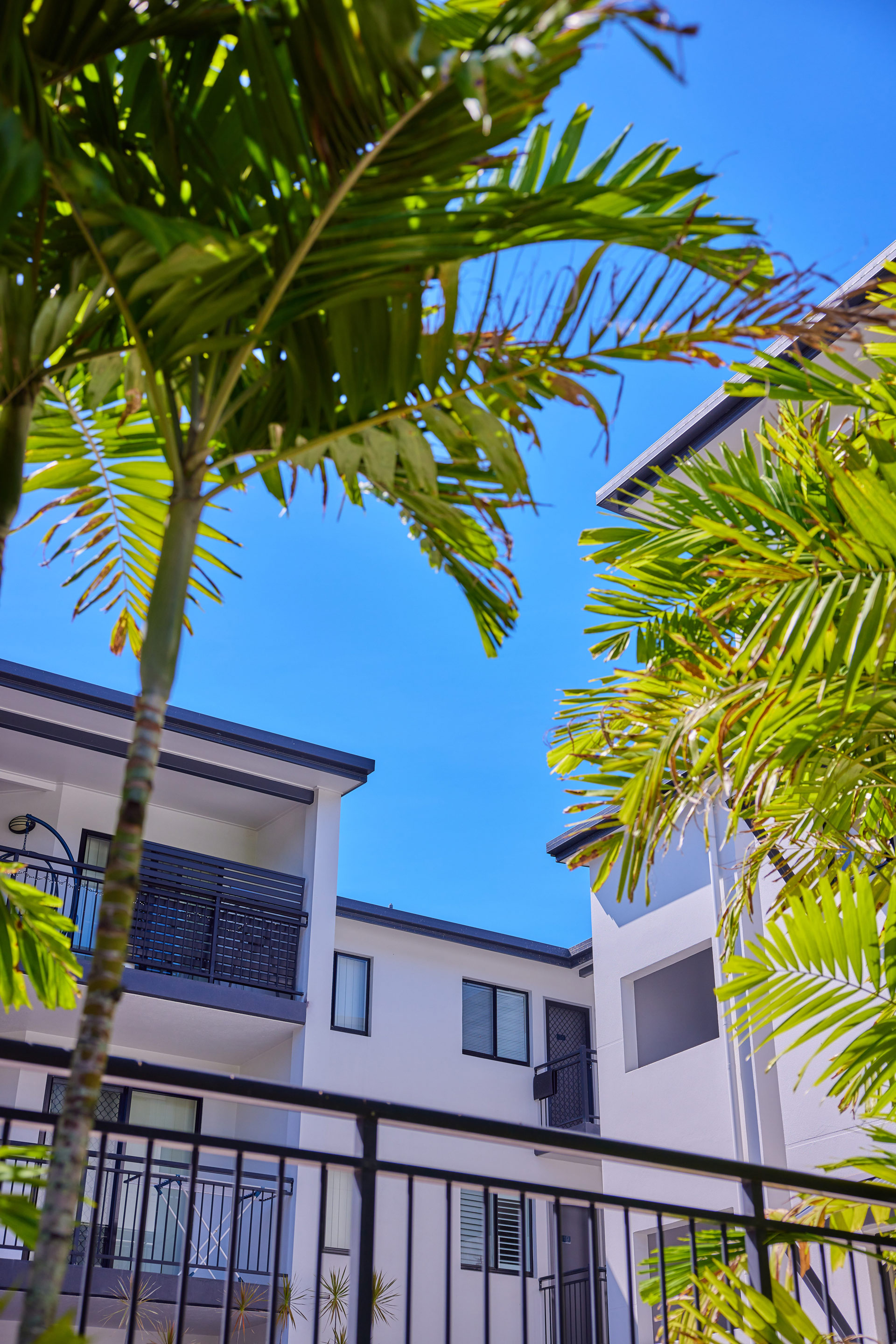 Exterior of apartments for rent in cairns with palm tree and sunny blue sky