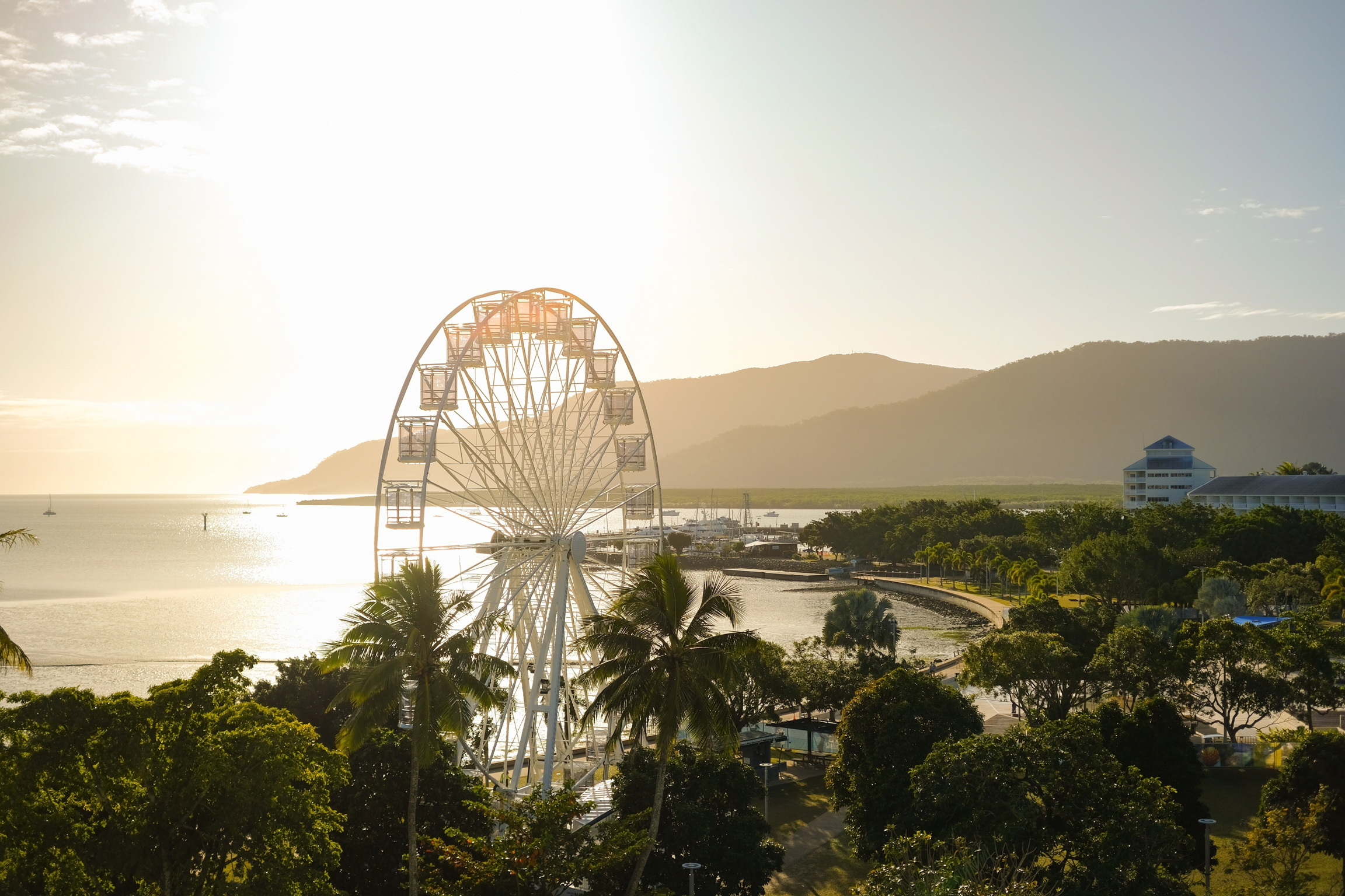 overview of Cairns city at sunrise with the ferris wheel and tropical foliage