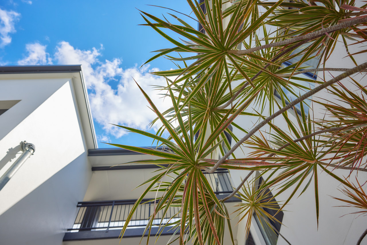 exterior of investment apartments with tropical foliage