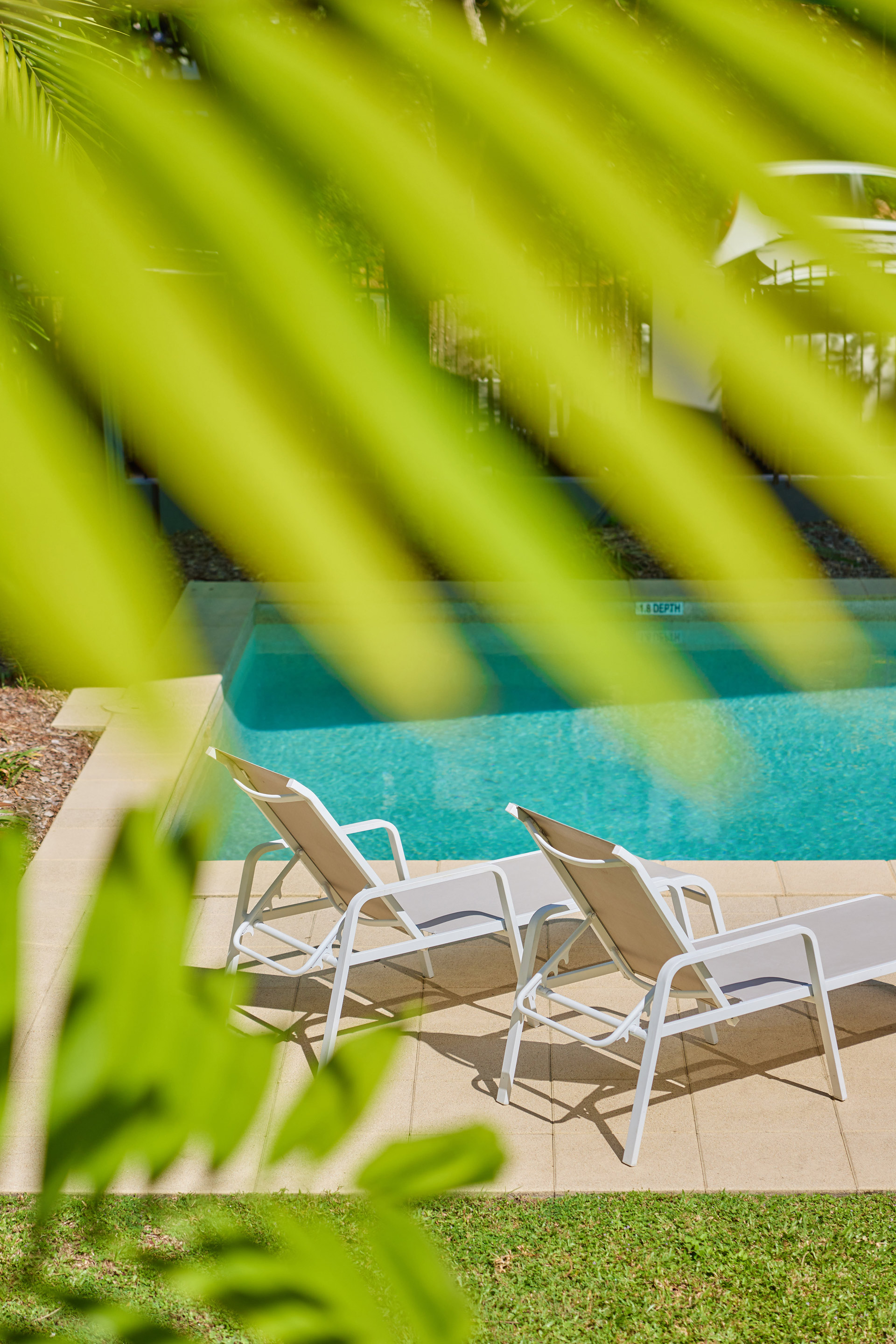 poolside loungers in tropical rental property in Cairns